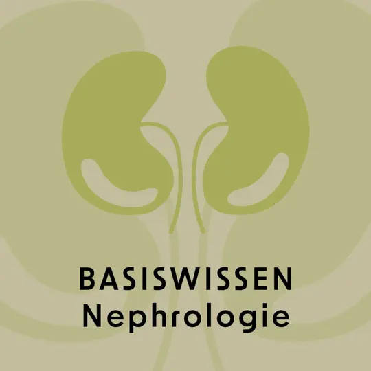 Screening und Diagnostik von Nierenerkrankungen