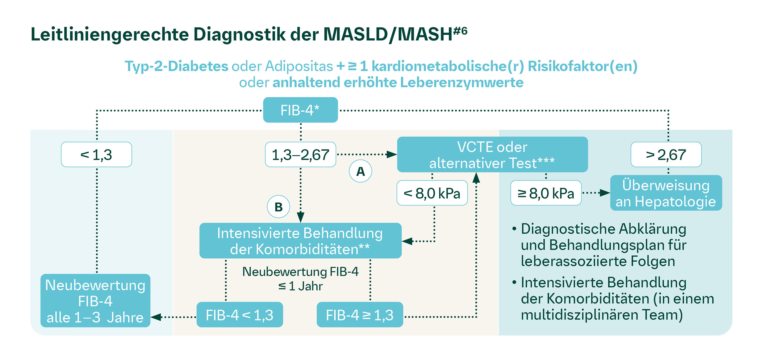 Leitliniengerechte Diagnostik der MASLD/MASH
