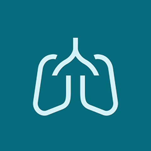Lungentransplantation